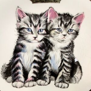 Charming Kitten Trinket Dish  - Black and White Weatherby Hanley England 5”